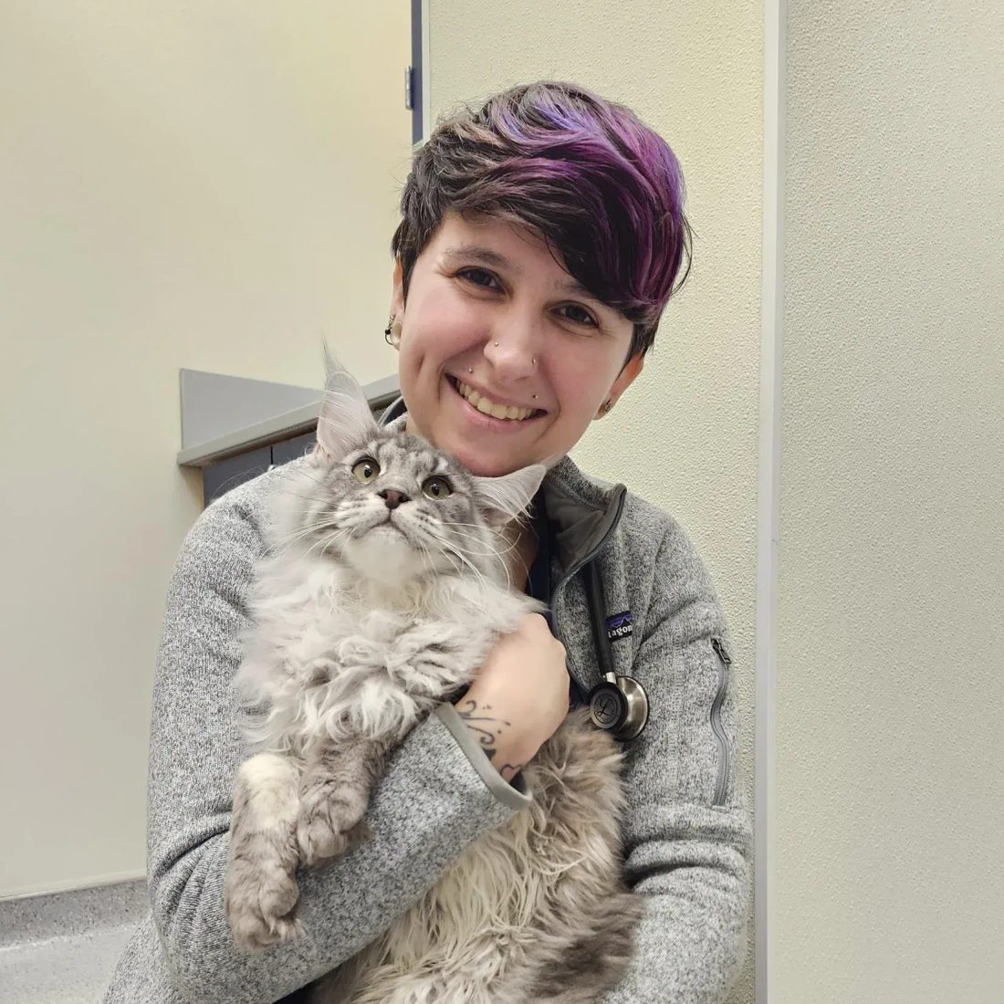 Smiling staff member with purple hair holding a fluffy cat at clinic