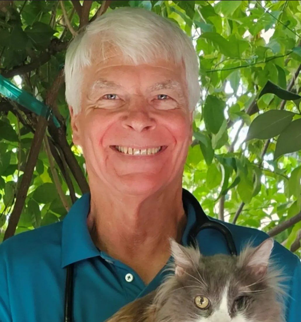 Smiling veterinarian holding a fluffy cat outdoors among green leaves