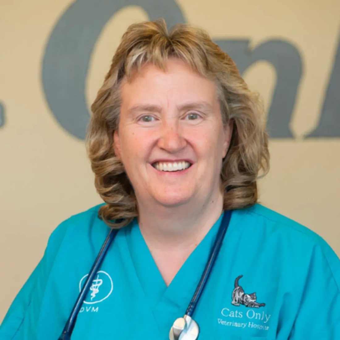 Smiling veterinarian in teal scrubs with stethoscope at Cats Only clinic